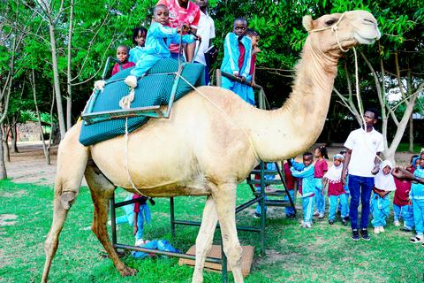 A child riding a camel while adults supervise