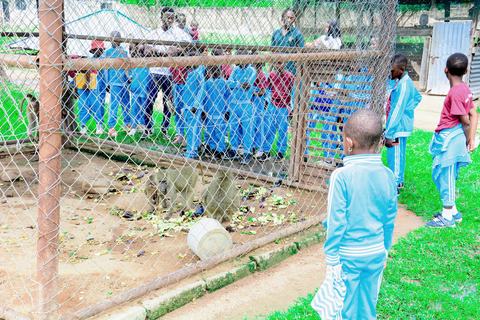Pupils watching monkeys in an enclosure